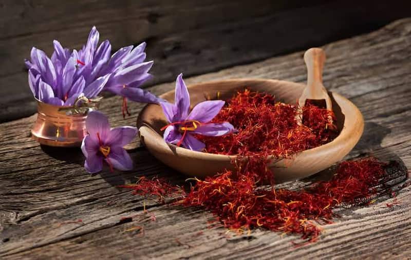 خرید زعفران سحرخیز